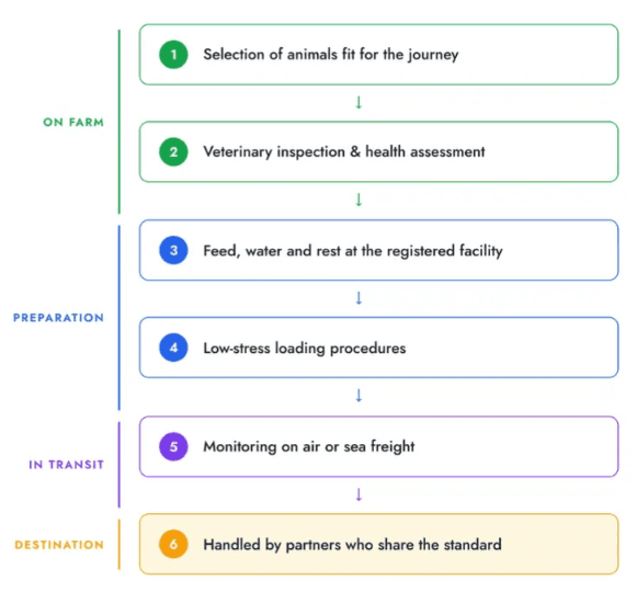 Animal welfare journey: on farm, preparation, in transit, destination
